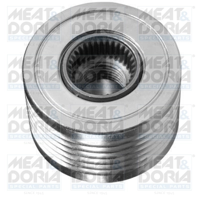Alternator Freewheel Clutch